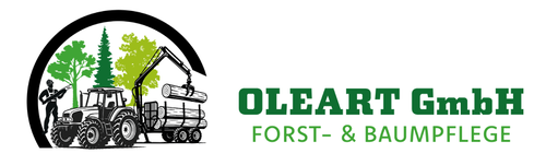 Ihr Spezialist für fachgerechte Forst- und Baumpflege im Landkreis Birkenfeld